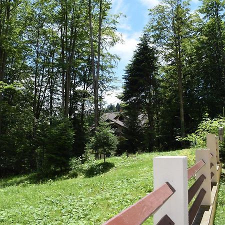 Alpin Residence Sinaia Exterior photo