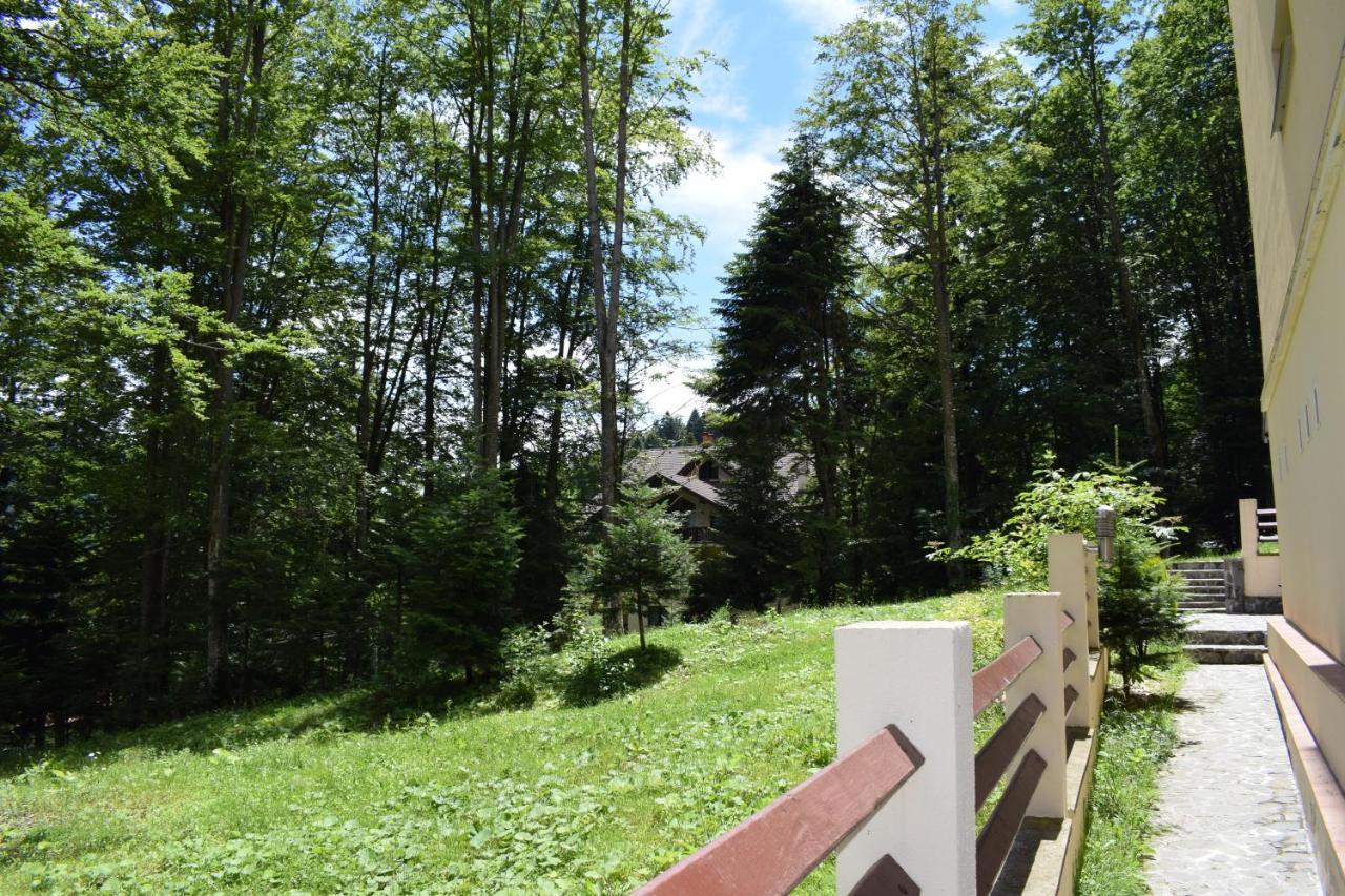 Alpin Residence Sinaia Exterior photo
